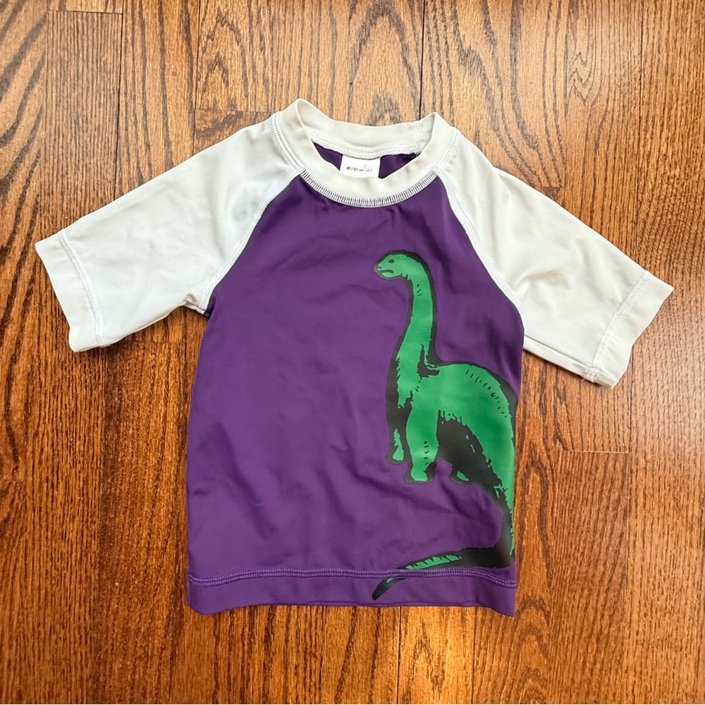 Hanna Andersson Short Sleeve Dinosaur Rashguard 2